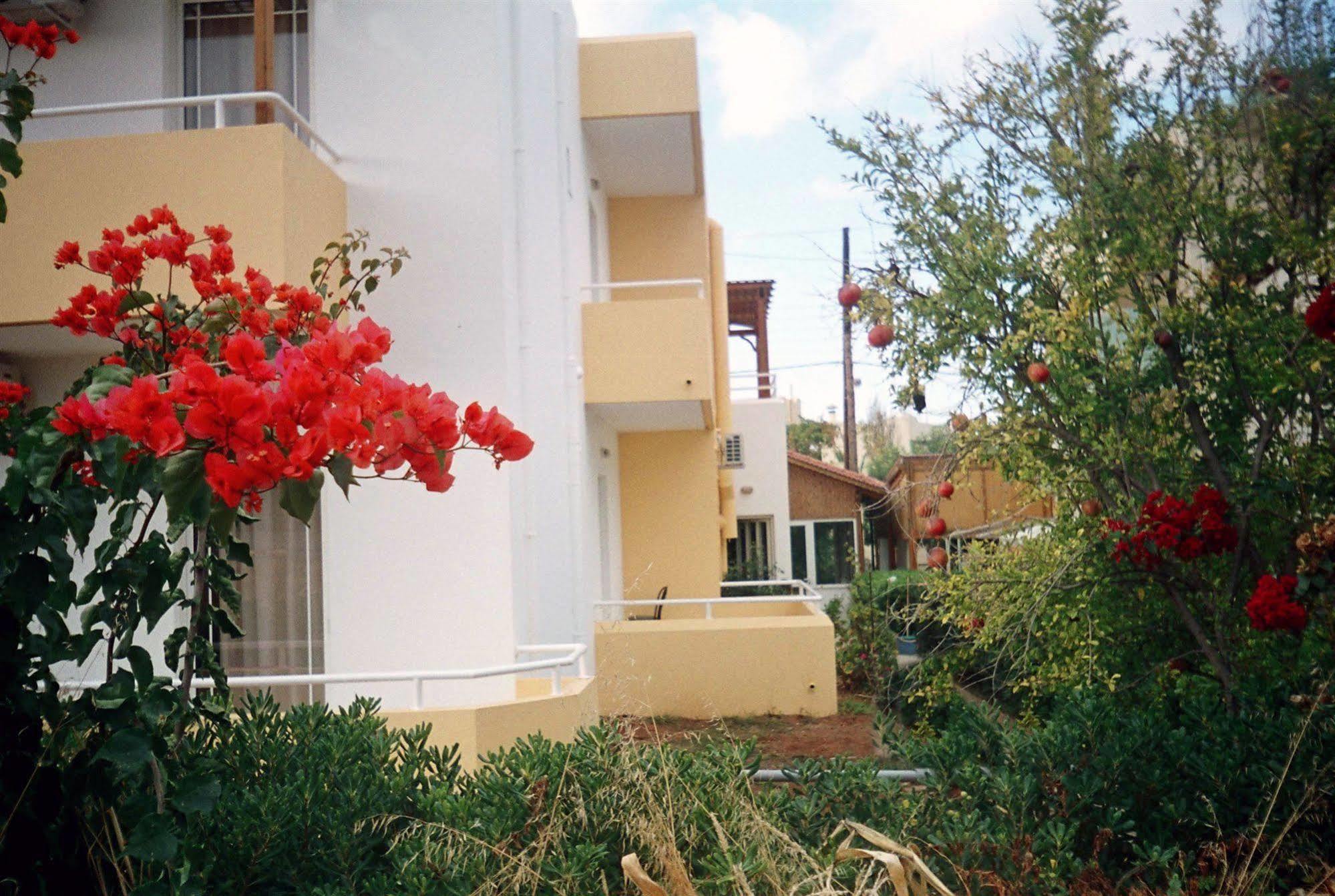 Dimitra Apartments Гувес Екстер'єр фото